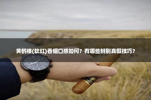黄鹤楼(软红)香烟口感如何？有哪些辨别真假技巧？