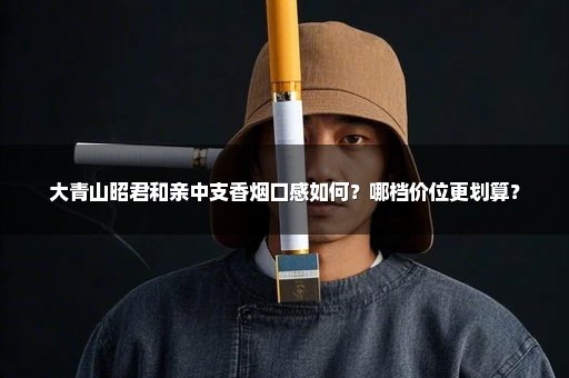 大青山昭君和亲中支香烟口感如何？哪档价位更划算？